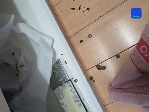 만세구 · 전화 상담 뒤 방문 고객 글 사진